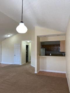 Gallery Photo 4